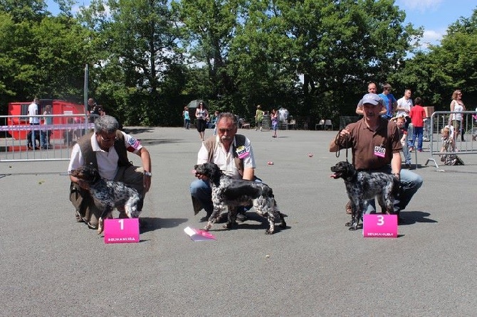 de la Mare Bourcy - EXPO du Championnat de France -ANGERS