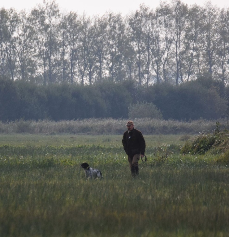 de la Mare Bourcy - FIELDS SUR BECASSINES EN COTENTIN 