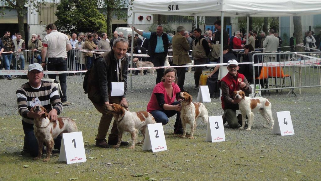 de la Mare Bourcy - Itou   Exc  en exposition