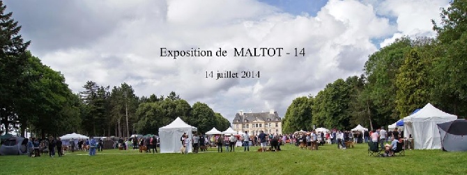 de la Mare Bourcy - EXPO  MALTOT (14 )