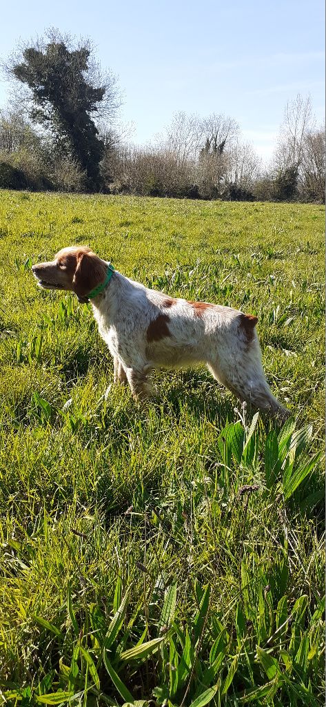de la Mare Bourcy - Bilan Fields Printemps 2021