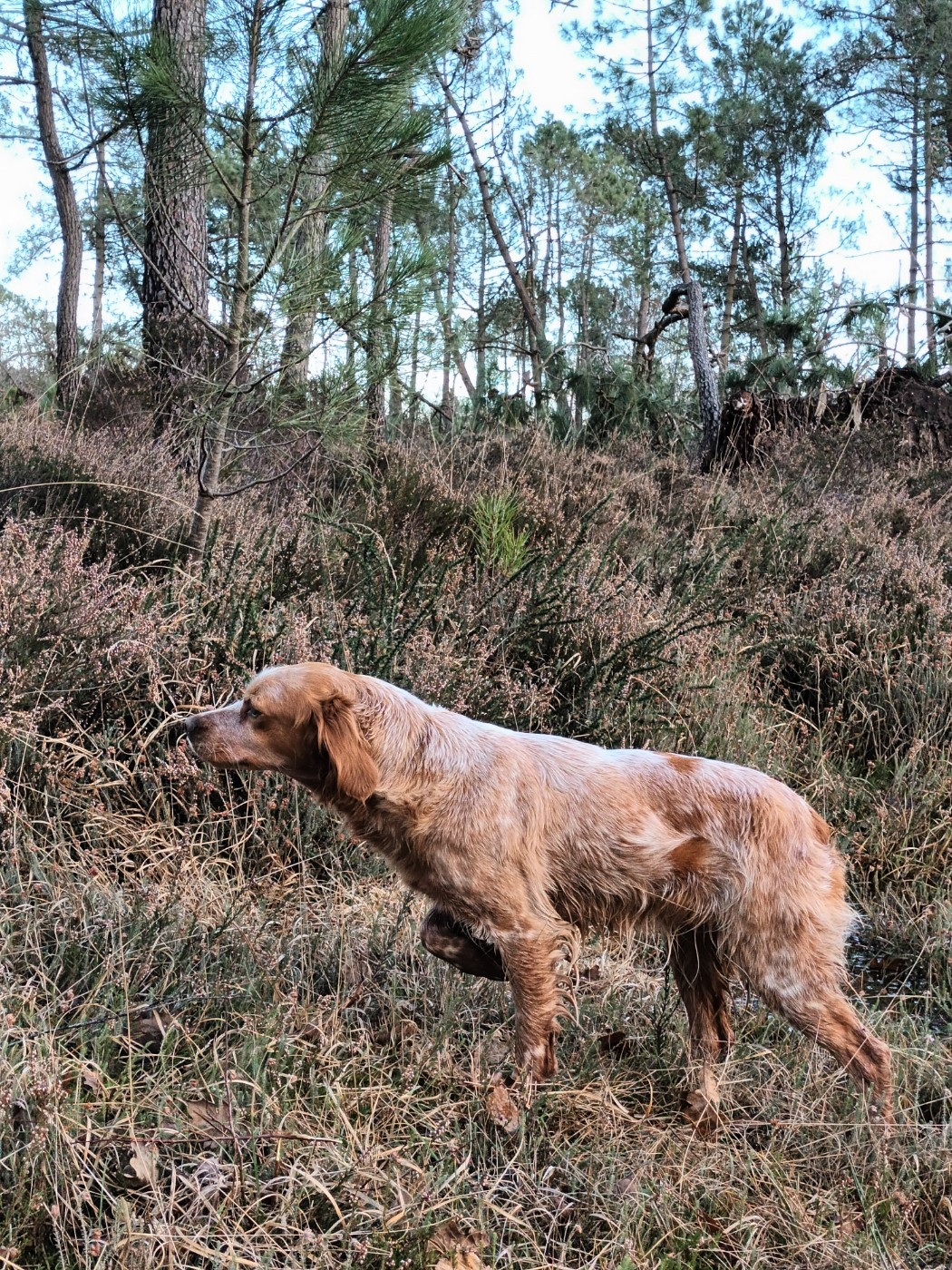 Challenge Léon Le Louet 2025